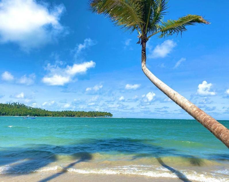 Flat Praia Dos Carneiros Eco Resort 26 Тамандаре Екстер'єр фото